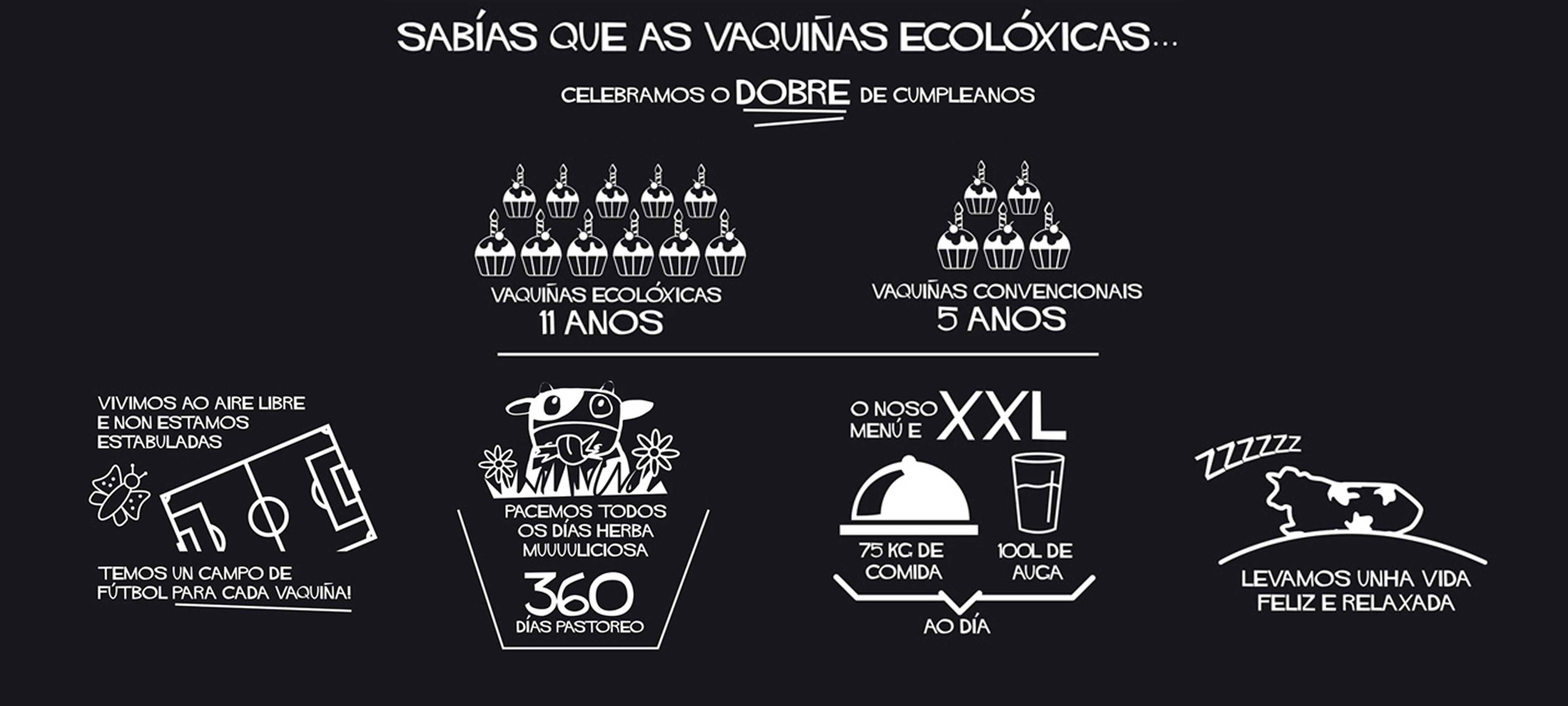 En esta infografía podrás ver por qué nuestras vacas son las más felices