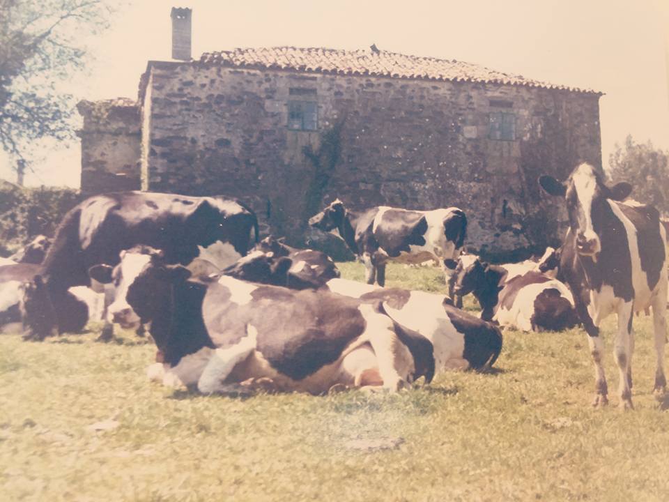 50 Aniversario