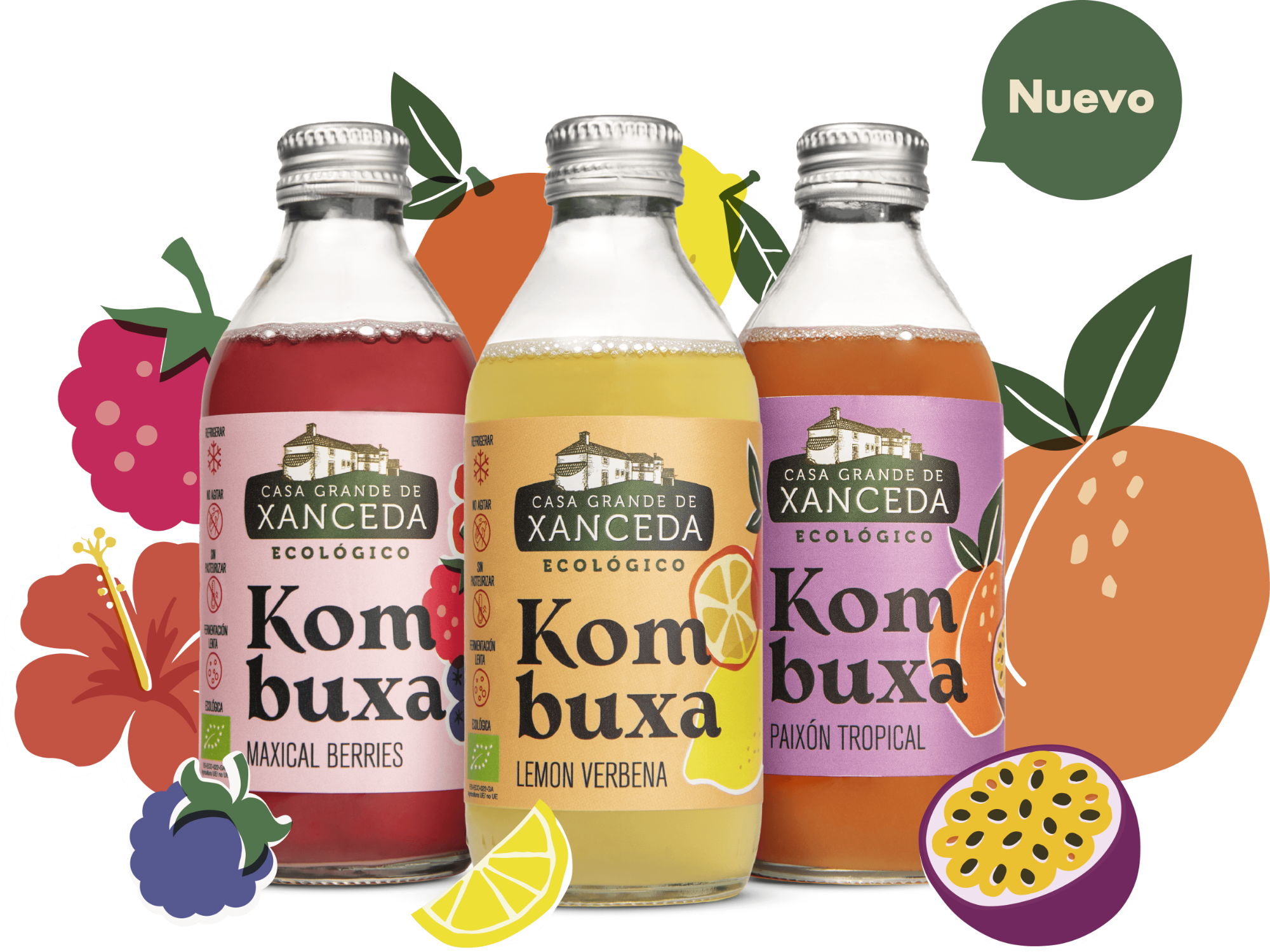 Una kombucha ecológica feita en Galicia