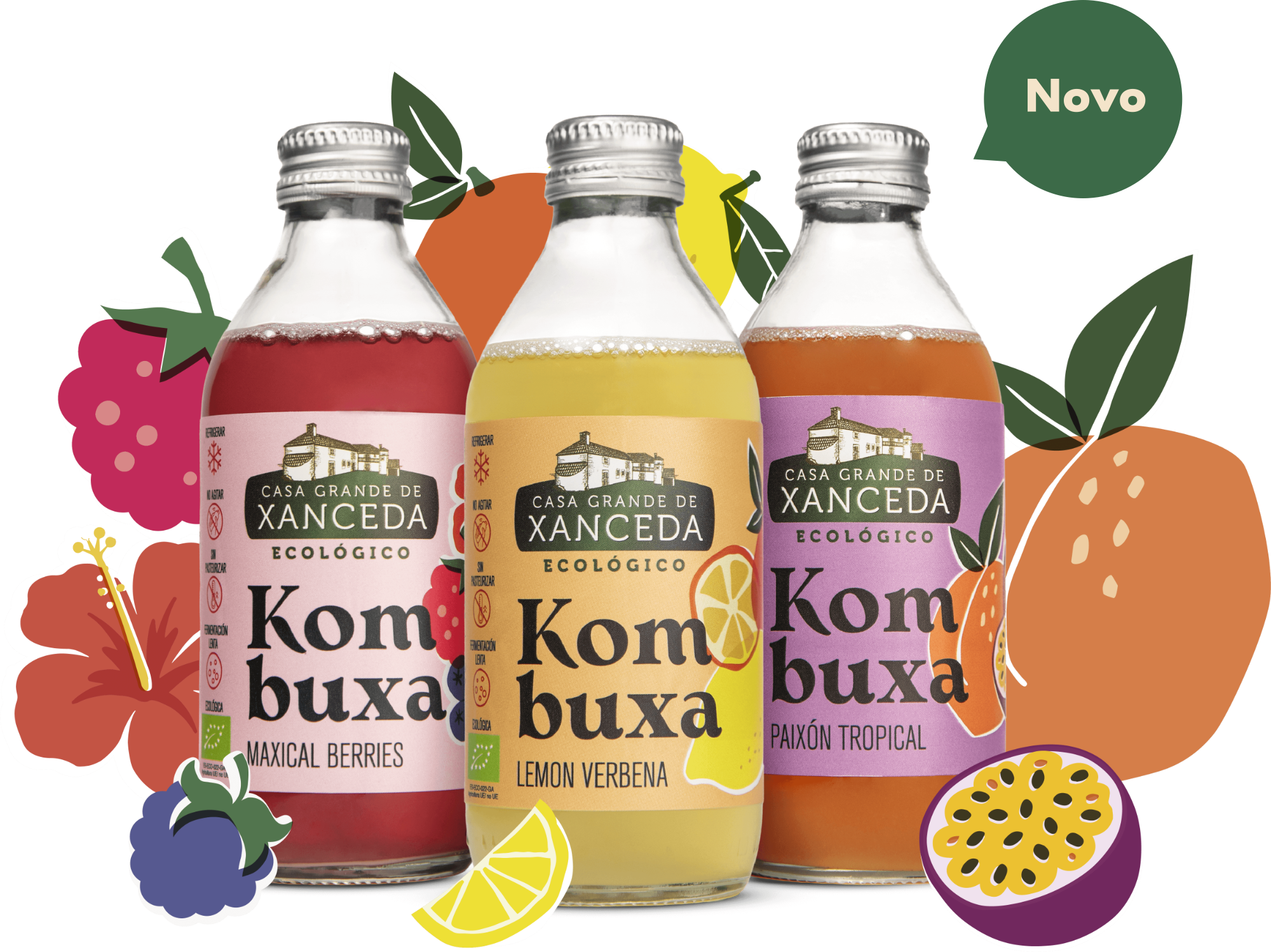 Unha kombucha ecolóxica feita en Galicia