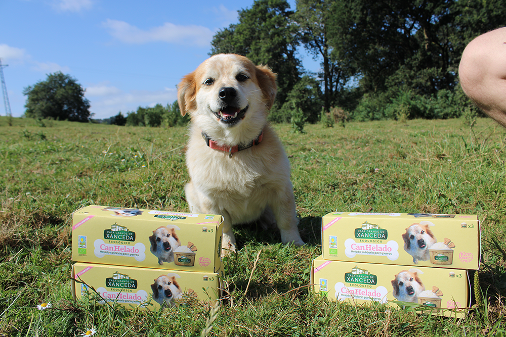 Un helado para perros ecológico y solidario