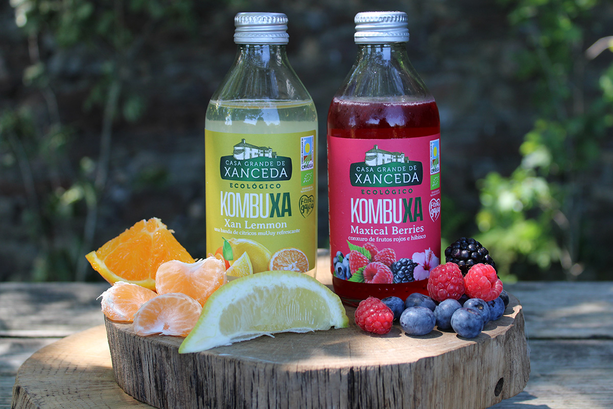Conoce nuestra Kombuxa