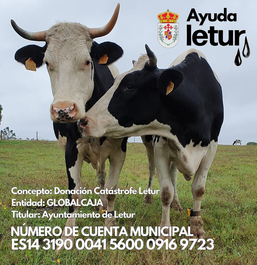 De Xanceda a Letur