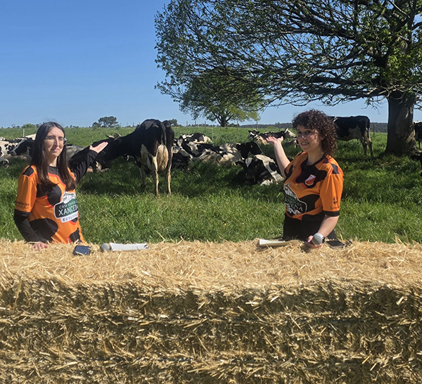 ¡Ya tenemos los 10 equipos de la leche!