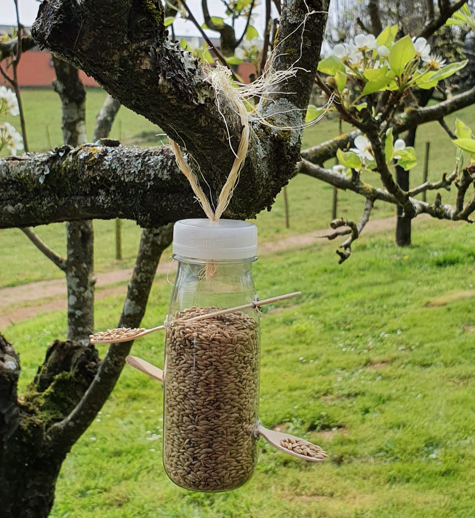 ¿Botella de ELE o comedero de pájaros?