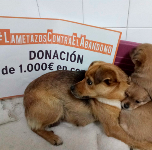 Donación Lametazos contra el abandono 