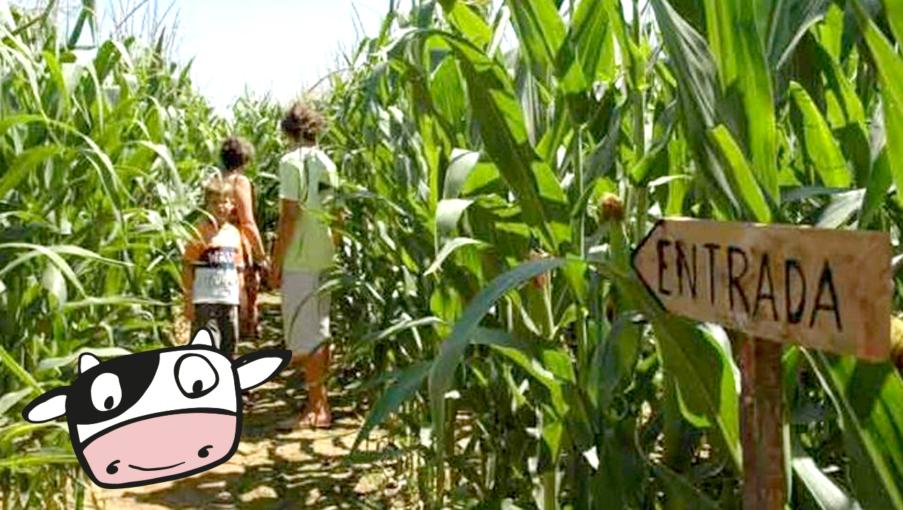 ¡¡¡ Próxima apertura de nuestro Eco Laberinto de Maíz!!!