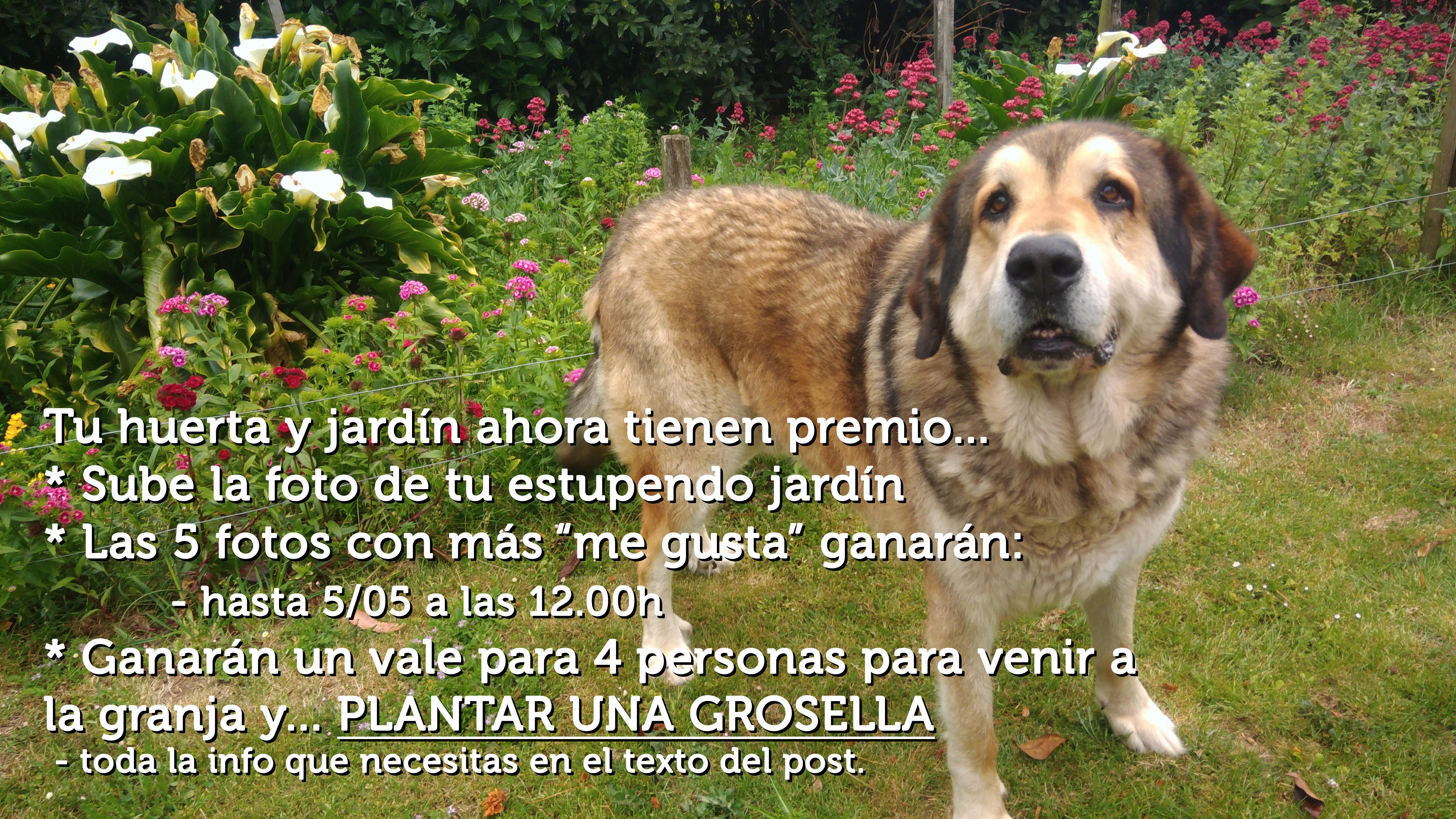 Visita especial ¡Planta una grosella!