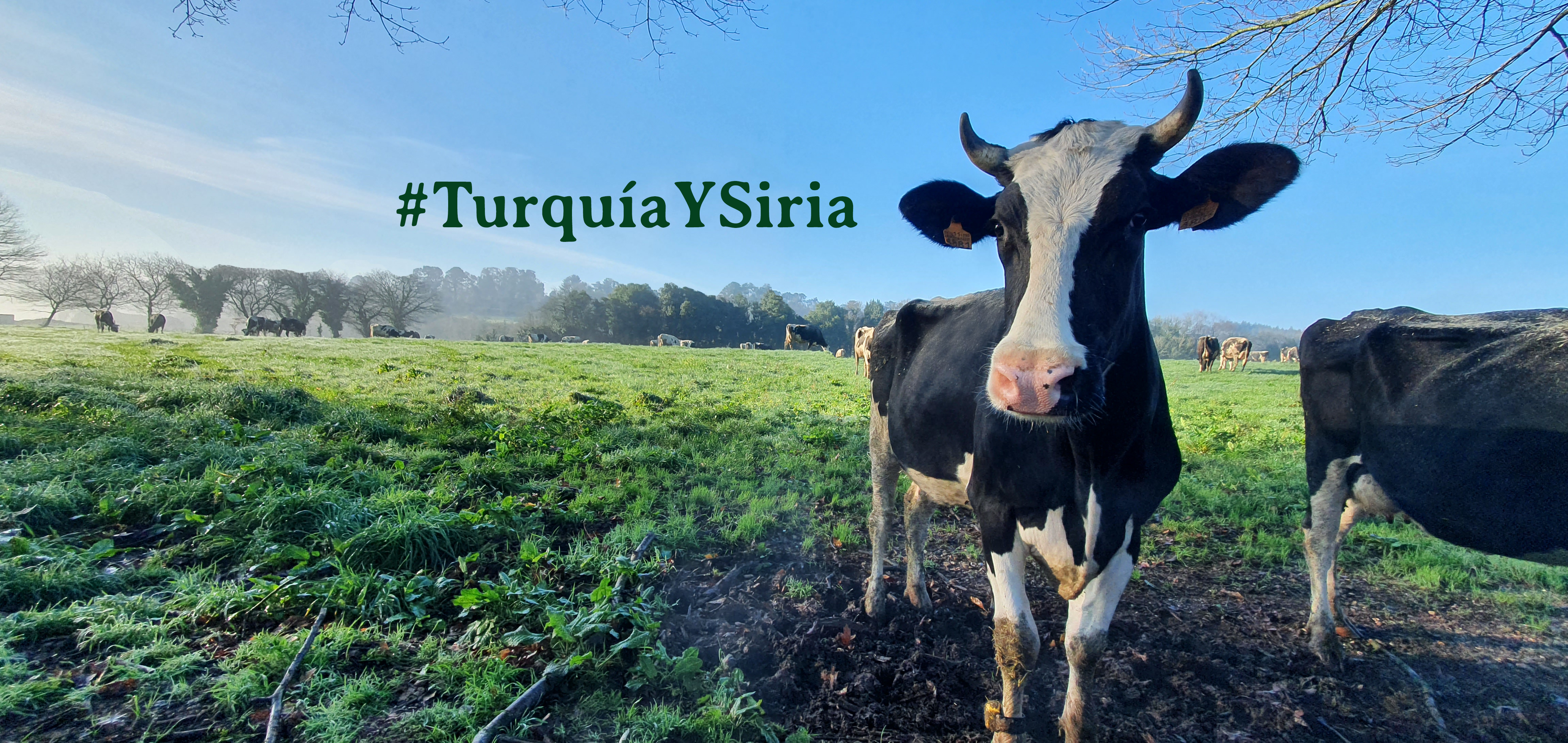 Desde nuestra granja a Siria y Turquía