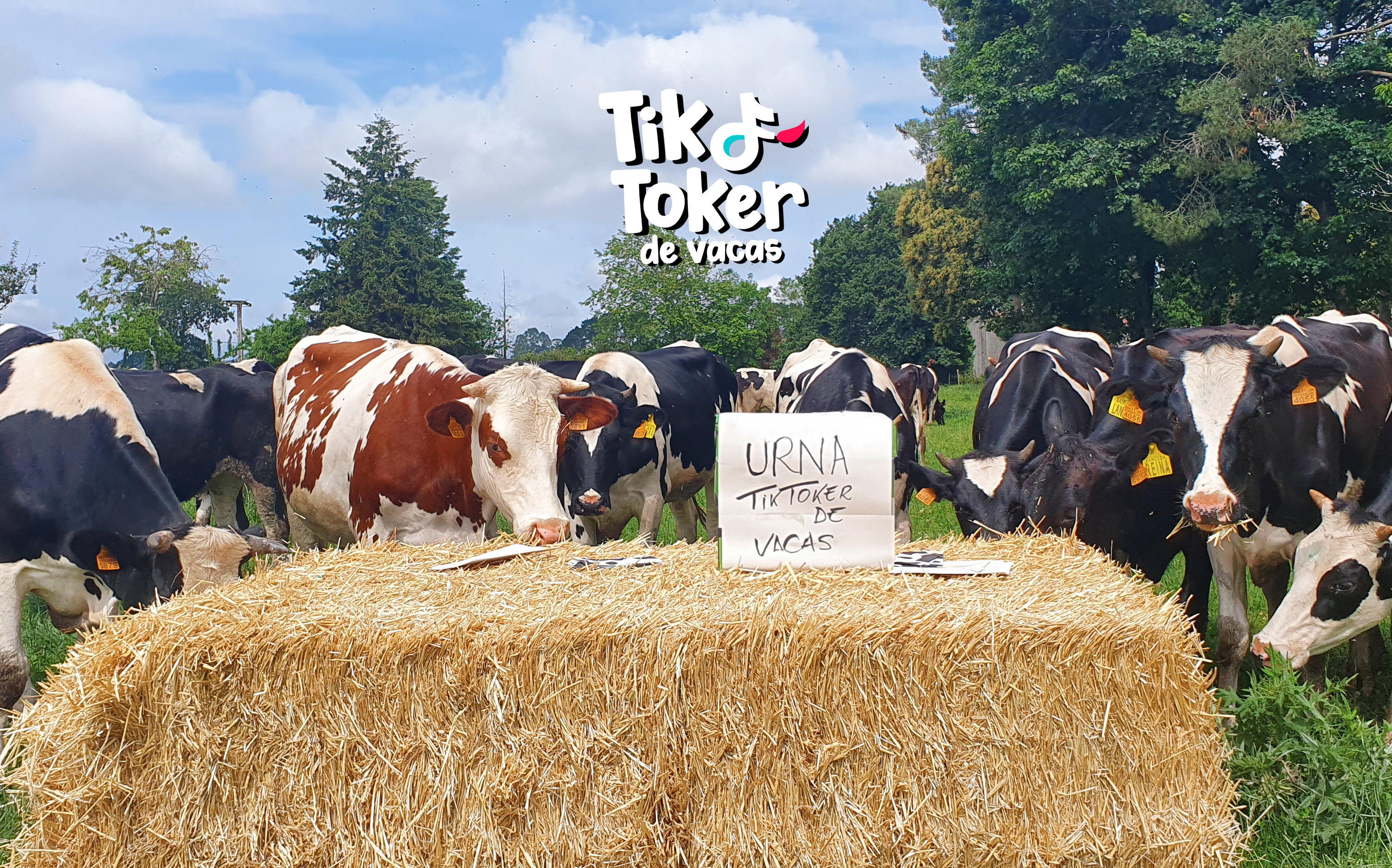 ¡Una tiktoker de la leche!