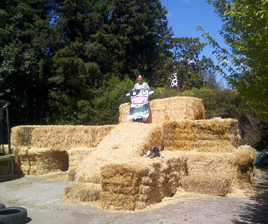  ¡Parque de pacas! 