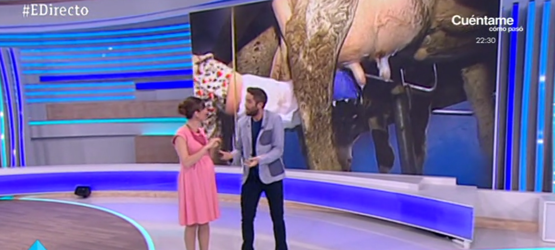  Nuestros terneritos se convierten en las estrellas del programa España Directo 