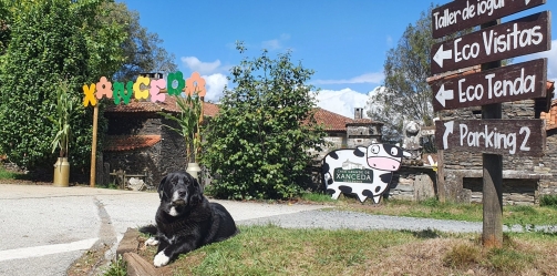 ESTÁNDAR