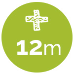 12m